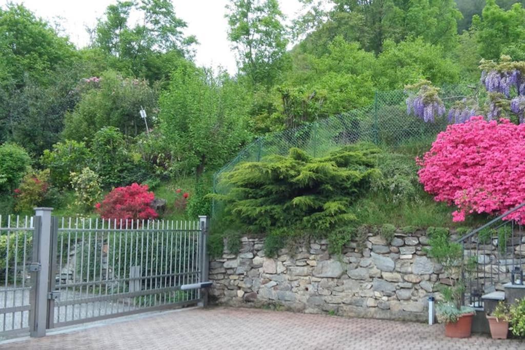 Lake Orta Openspace Garden Beach 페텐나스코 외부 사진
