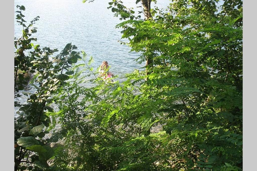 Lake Orta Openspace Garden Beach 페텐나스코 외부 사진